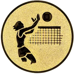 Emblém E20 Volejbal žena