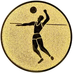 Emblém E21 Volejbal muž